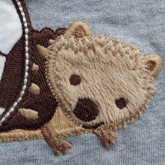 Gymboree 5T bear / hedgehog tees - Picture 11 of 16